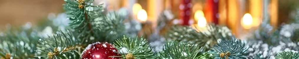 Holiday fundraising ideas are effective for engaging guests and raising money.