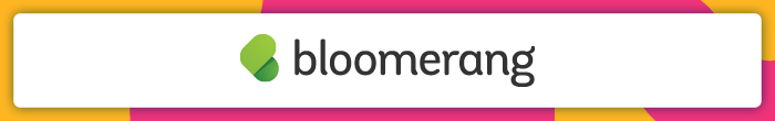 Bloomerang virtual fundraising software