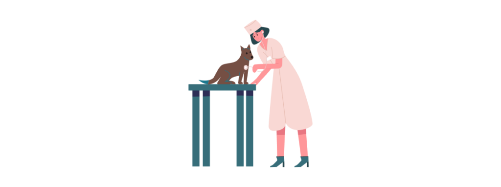 Revisit your current pet business practices.