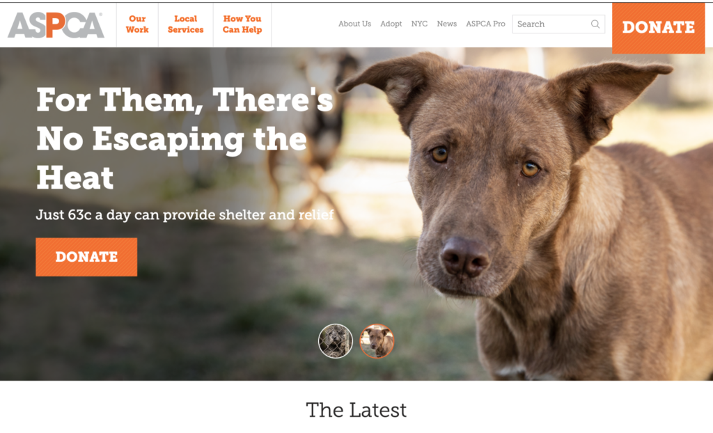 The American Society for the Prevention of Cruelty to Animals (ASPCA)